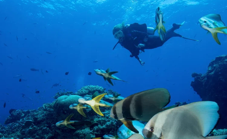 Aqua Lares snorkelling in Zanzibar