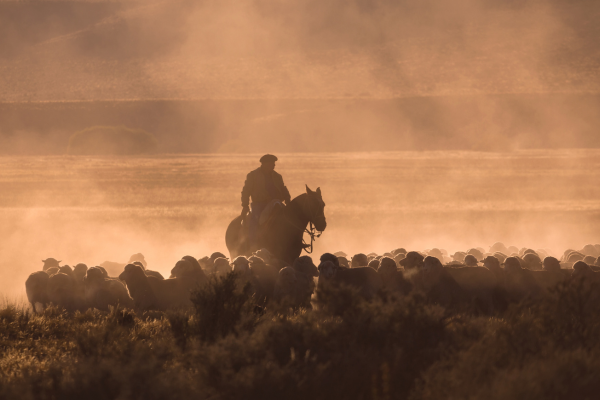 Gaucho in Patagonia