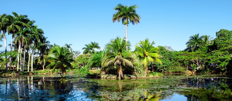 Peninsula de Zapata, Cuba