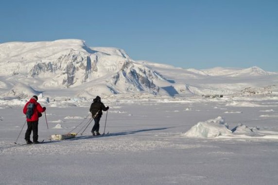 Shore Antarctica