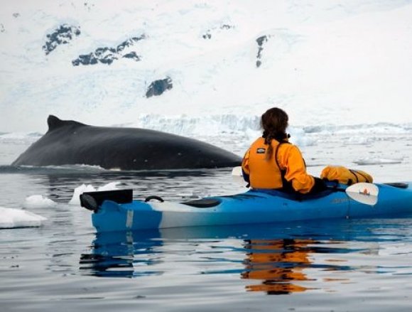 Kayak Antarctica