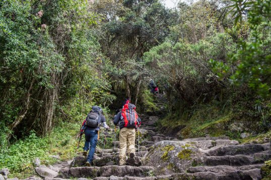 Hikers walking the steps on the Inca Trail