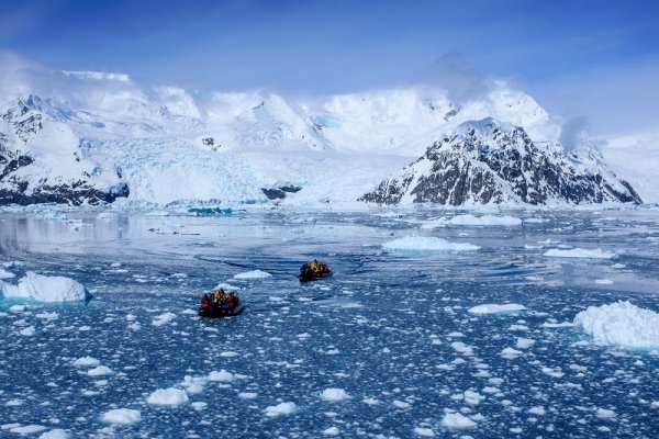 Zodiac tours in Antarctica