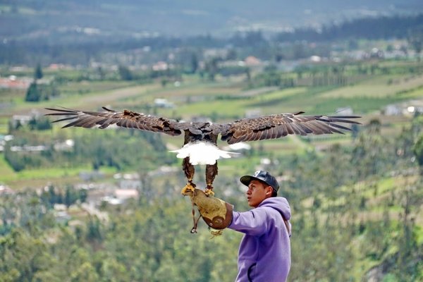Otavalo Condor Park