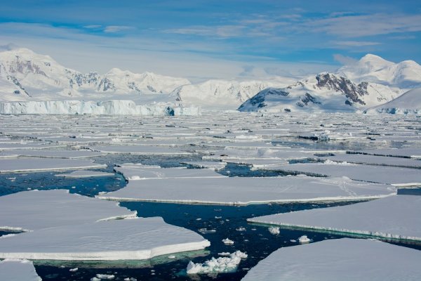 Ice plates floating in Antarctica