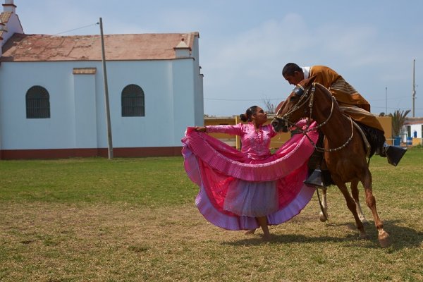 Peruvian Paso Horse Festival in Lima, Peru