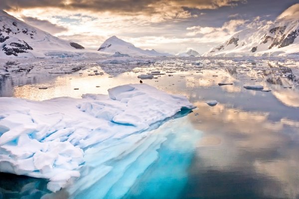 Antarctica Icebergs