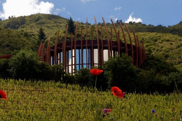 Colchagua Valley