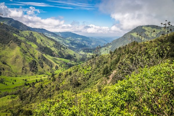 Green mountains. Colombia