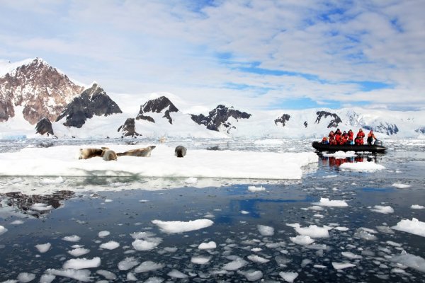 People taking pictures of seals on a Zodiac tour