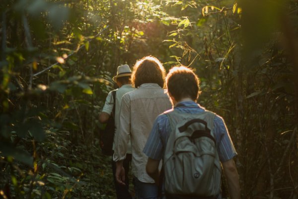 Explore the Amazon Rainforest