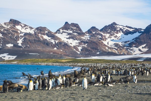Activities in Antarctica, Hike in South Georgia