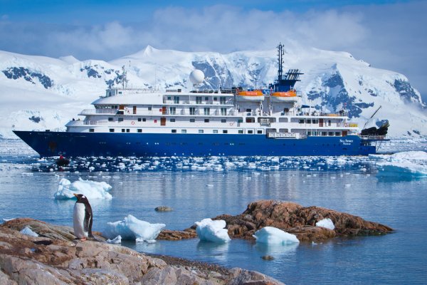 Penguin standing on the rock in front of the cruise ship Sea Spirit