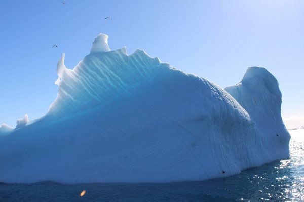 Huge Iceberg in Antarctica 