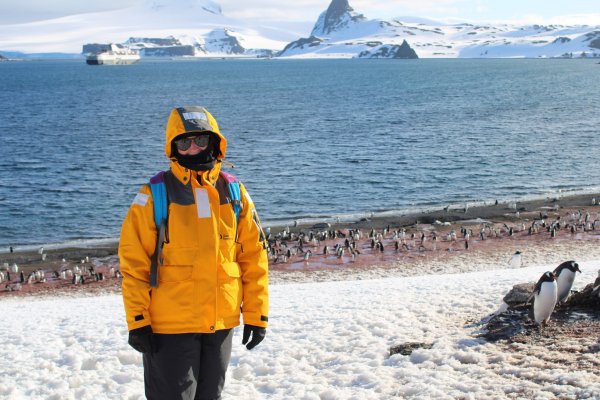 Hike Antarctica