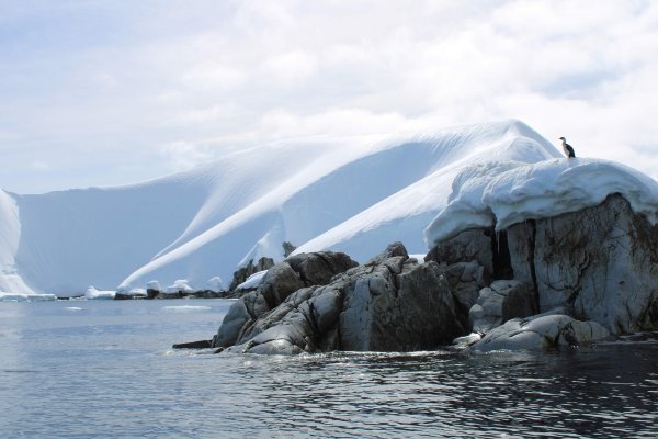 Antarctica shore expedition 