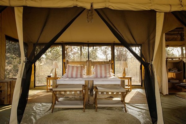 Kigelia Ruaha Tanzania