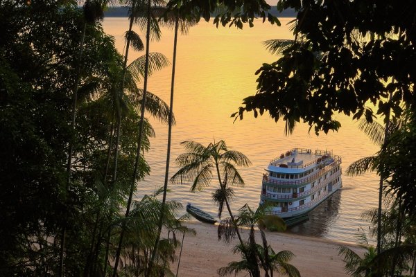 Jungle cruise in the evening, Amazon rainforest