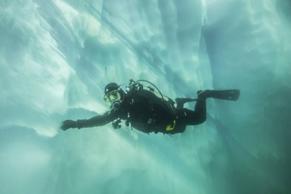 Polar diving