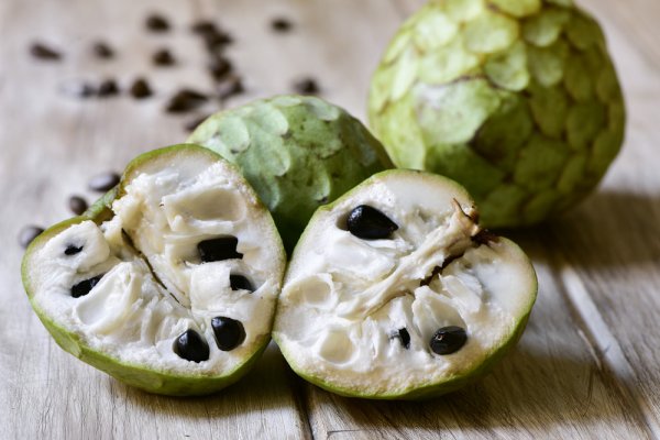 Popular food in South America must try Chirimoya in Peru and Bolivia