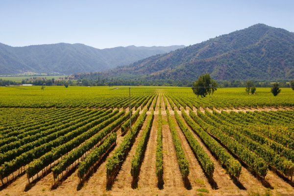 Wine Valleys Santiago, Chile