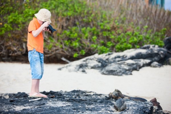 Child in Galapagos photographing a marine iguana on the beach