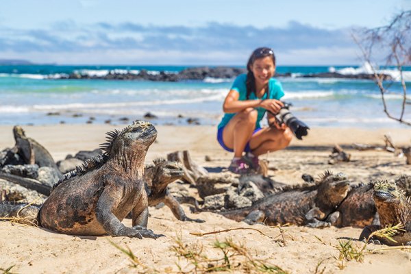 Iguana taking pictures