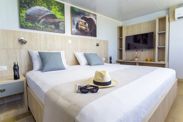 galapagos angel suite1