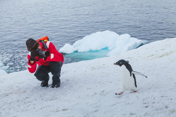 Photographing penguins in Antarctica