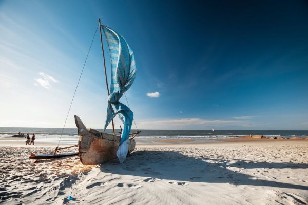safari abd beach combos from exhilarating safari drives
