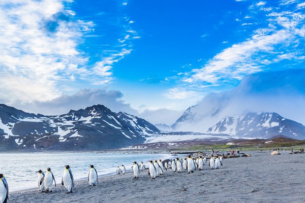 South Georgia Scenery