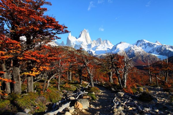 Beautiful nature landscape with Mt. Fitz Roy, Patagonia