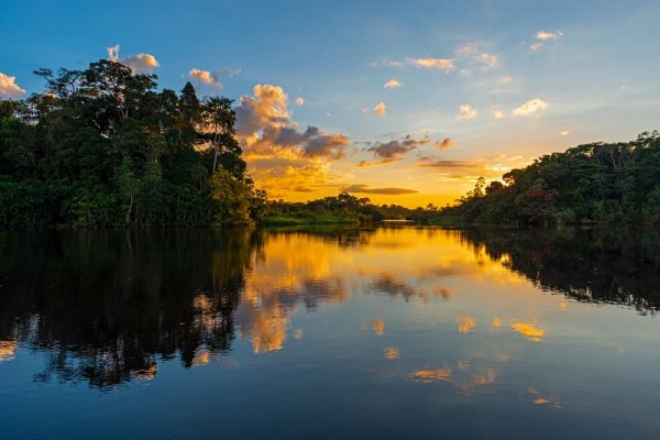 Sunset in the Amazon River Rainforest