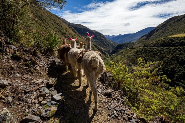 Trekking in Peru