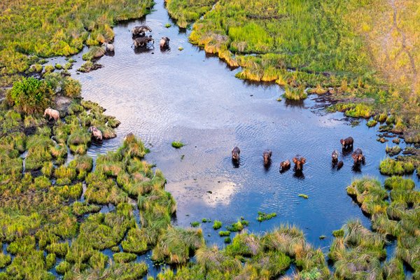 An Okavango delta experience is a bucket-list dream, at any tie of year.
