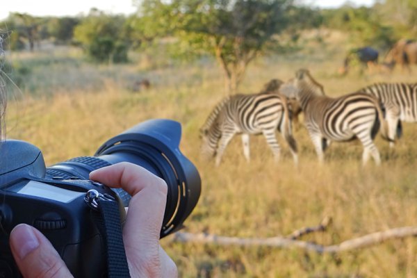 The photos most safari-goers take are beautiful enough to enlarge, print, and fr