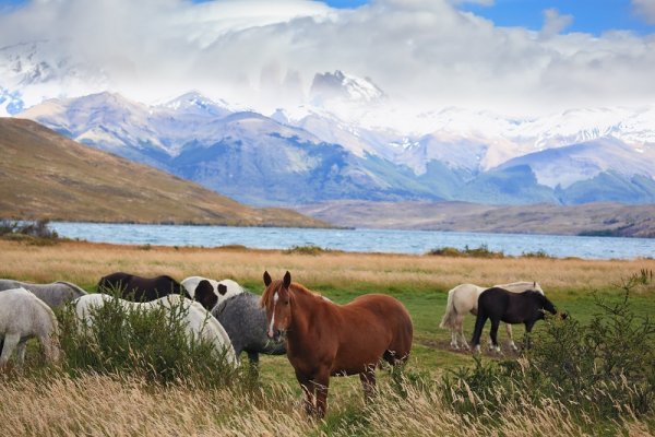 Lagoon Azul in Torres del Paine, Patagonia