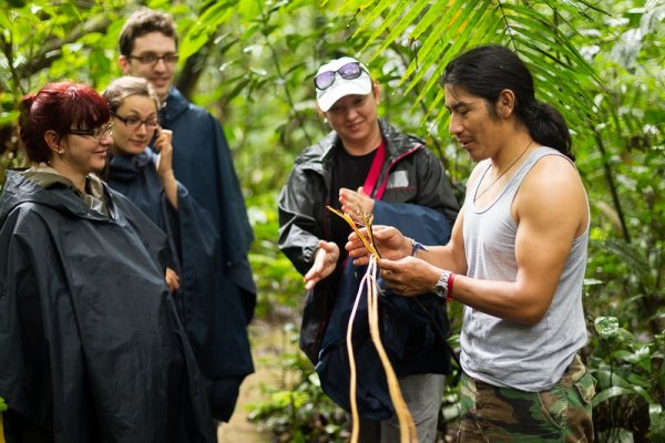 Guided Tour through the Amazon Rainforest