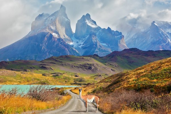 National park Torres del Paine, Patagonia, Chile