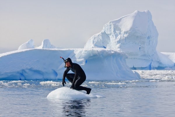 A diver on the ice, Antartcica