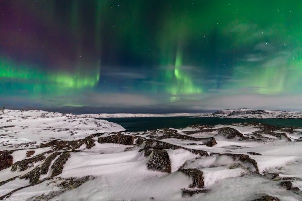 Northern Lights on the shore of the Arctic Ocean