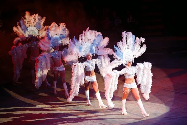 Girls in costumes at the carnival in Rio