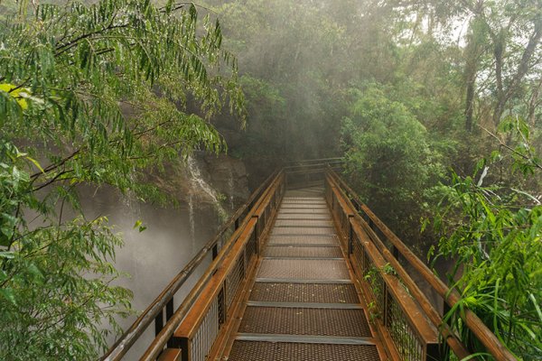 Trekking the Macuco Trail amidst Iguazu Falls