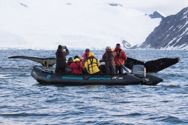 Tourists watching humpback whales, Antarctic Peninsula