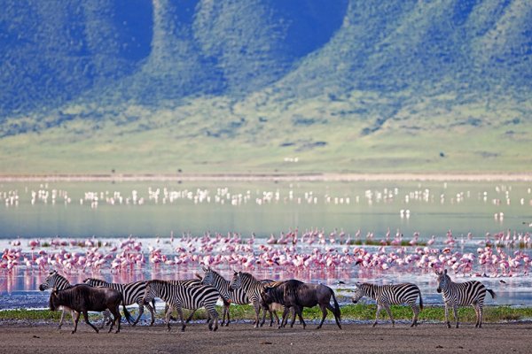 Tanzania's Ngorongoro Crater, one of Africa's Seven Natural Wonders and home to 