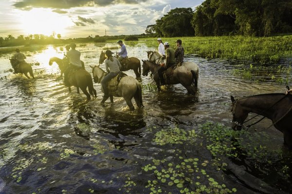 Horse riding in the Pantanal