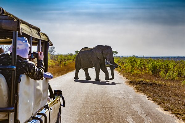 Africa’s largest national park is HUGE – about the size of a small European coun