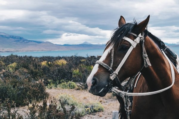 Horseback riding in the Torres del Paine, Chile