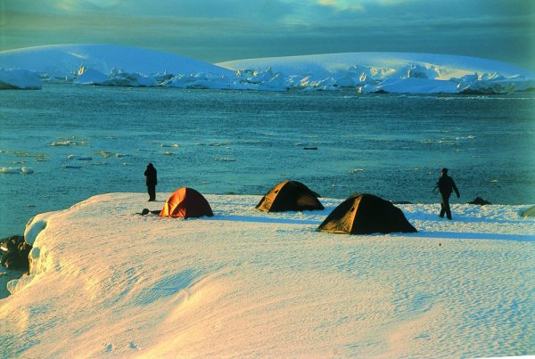 Antarctica Passengers Camping