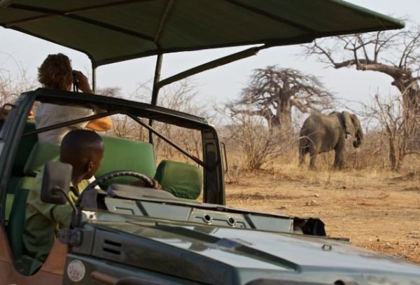 Tanzania Southern Circuit Game drives in Ruahua